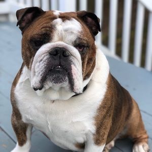 Meet your Posher, Jon